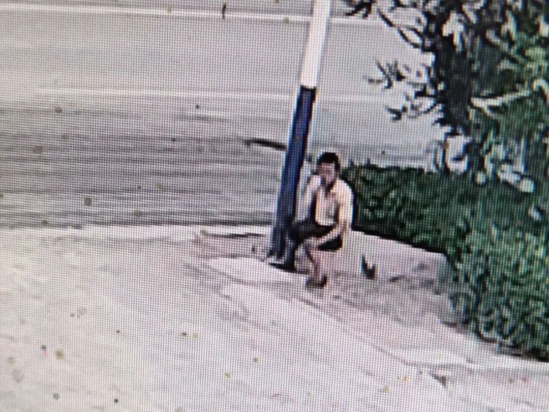  寻人|紧急寻人！河北15岁男孩失联7天，家长心急如焚！监控显示曾出现……