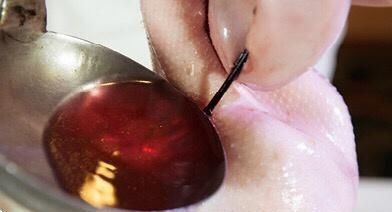 吃货|广式烧鹅这样做,皮脆肉嫩,肥而不腻,作为吃货必吃的美食