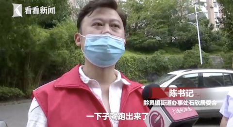  过路|秋田犬发狂连扑多人 过路大爷被咬到动脉