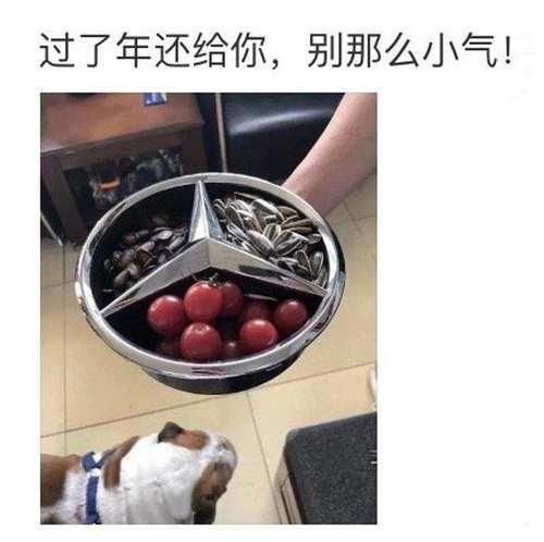 男朋友|男朋友日常敷衍……