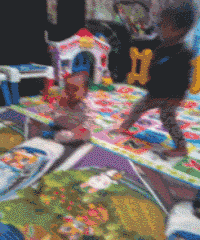  鸡成|搞笑GIF：这只鸡成精了吧！这么高还敢飞，真把自己当鸽子啦