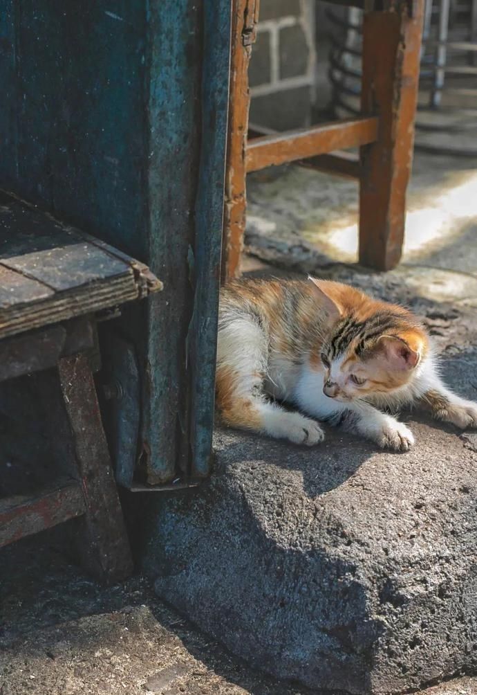 桌椅|店内坐不下,门口搬桌椅来吃!丰储街的这家盖浇饭火了13年!