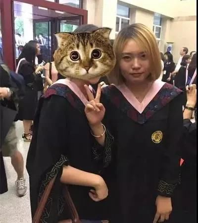  大火|李雪琴大火：她的经历，给所有女人提了个醒