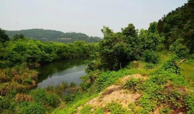 风林|风林：被盗的黄丕烈墓