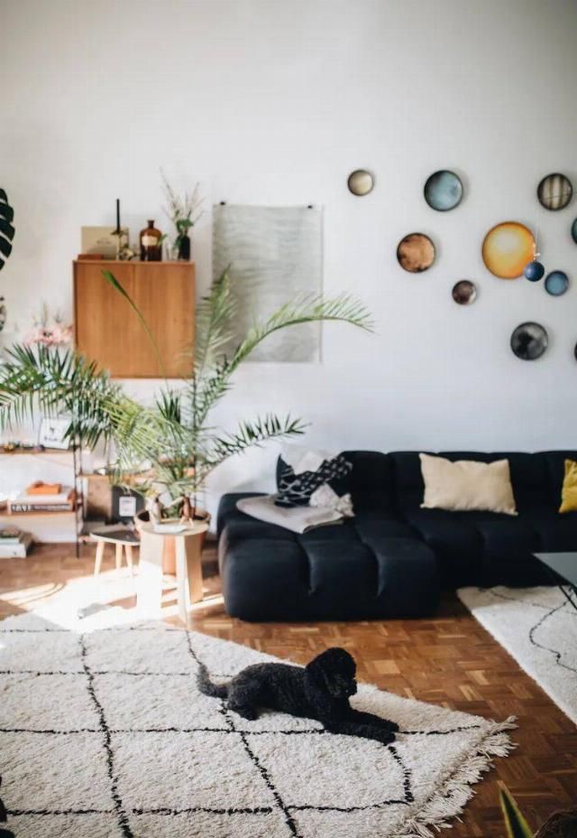  吊钟|她们的家，美得很让人种草