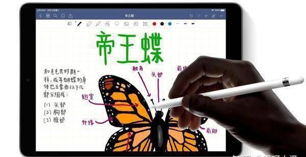  iPad|如何装备你的 iPad ？