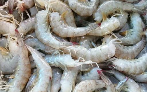  爽口|三伏天来了，消暑又营养，简单爽口，鲜嫩不苦，全家都爱