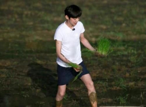  马赛克|《向往的生活》何炅被节目组“强行”打马赛克，就因为这3个字！