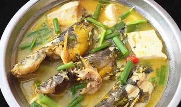 黄骨鱼|豆腐和此物一起炖,比鸡汤还鲜美,补钙质,长个头,早食早受益