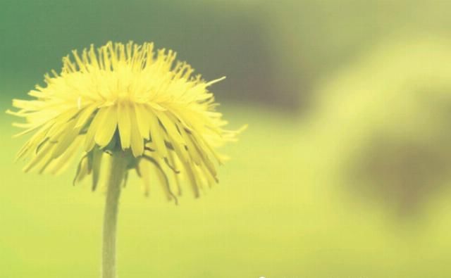  九月|九月中旬开始，财富数不清，财星入命，财运升温的生肖