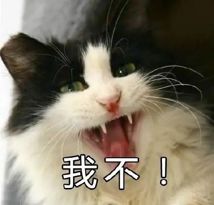  孵出来|男子网购“孔雀蛋”，结果孵出了鸭子！网友：商家没想到真能孵出来