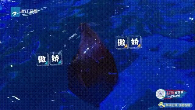  奔跑|今晚，继续跟着《奔跑吧》逛青岛！