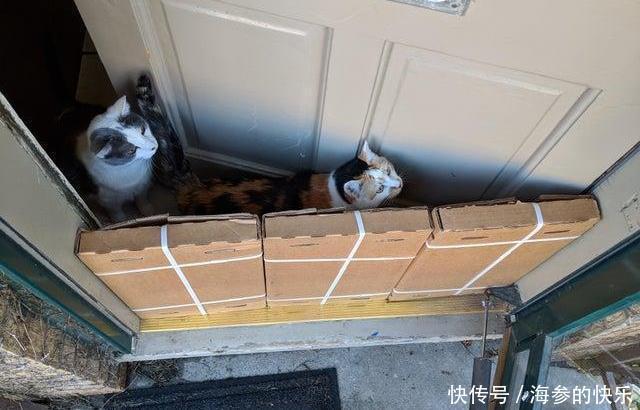 图片|30张完美的图片,强迫症患者:爽翻了!