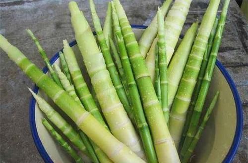  食物|女性要排毒，离不开的食物，排毒美容，清理肠胃，延缓衰老
