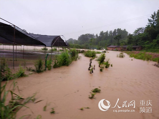 李国文|渝北：助老员心系老人 冒暴雨抢险救助