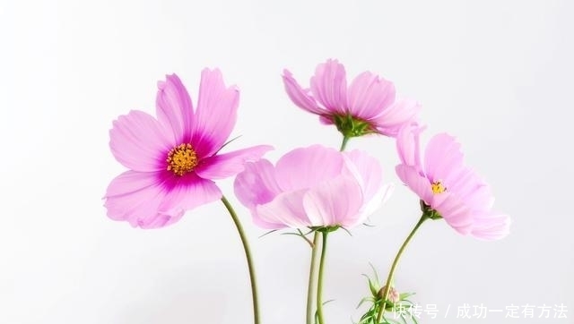 不尊重别|做人,别把别人不当人,别把自己太当人