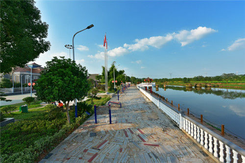  村里|中国学霸村：走出26名博士，128名硕士，659名大学生，是你家乡吗