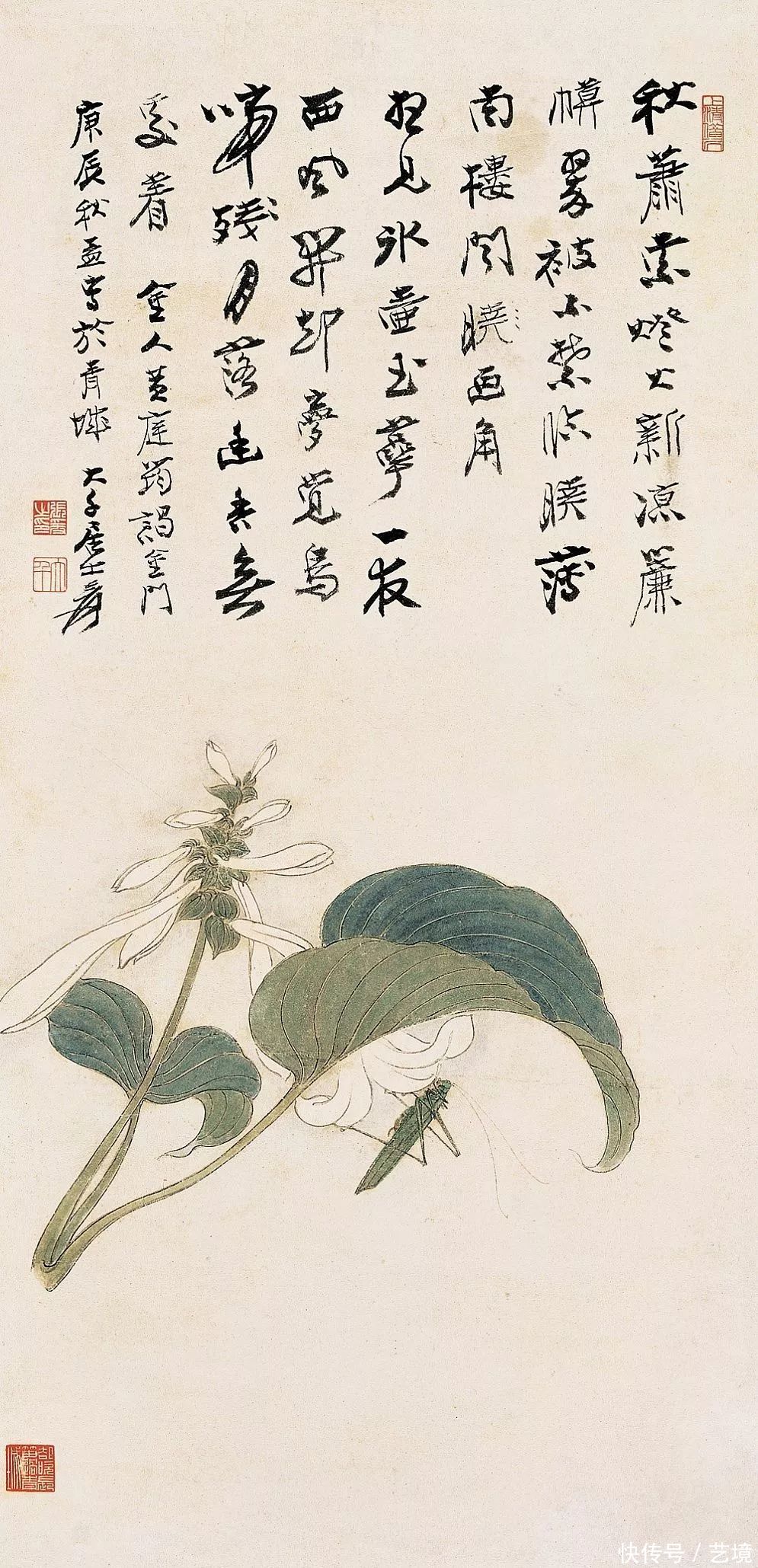 张大千花鸟画欣赏（100幅）