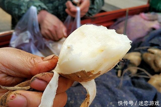 水果|别名和红薯一样,种子有剧毒却被大量种植,南方人常当水果吃