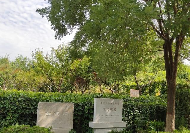 惠民|抗金桥头堡变身休闲好去处,让我们在古城墙下开启一段“千年之旅”