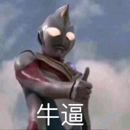  评选|年度沙雕小偷评选，感觉智商受到了侮辱...