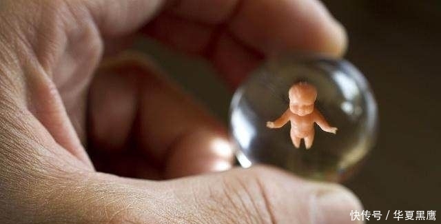 宝宝|胎儿还这么小,做人流没有痛苦?或许答案和你想的不一样