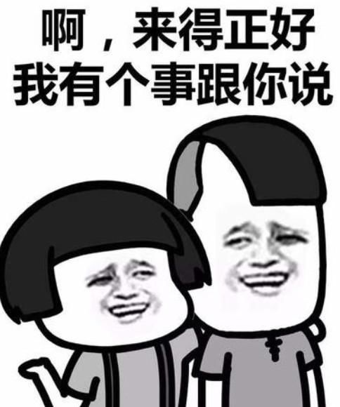  命运|被收割，散户难逃牛市宿命？NO!借“基”行事，我的命运我做主