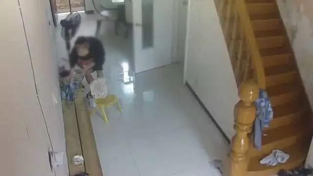  平阳|平阳一女贼刚出监狱又重操旧业