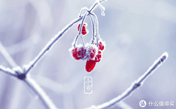 阳康之后小寒节气如何保养身体(小寒养生 | 阳了、阳康该如何利用节气养身？这份养生攻略请收好！)