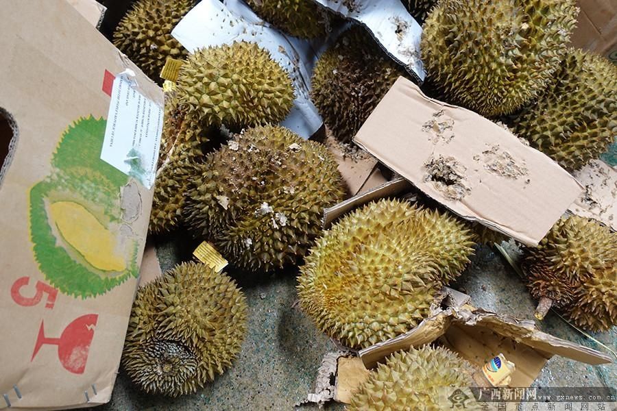 海关|水口海关销毁49.58吨涉嫌走私入境榴莲