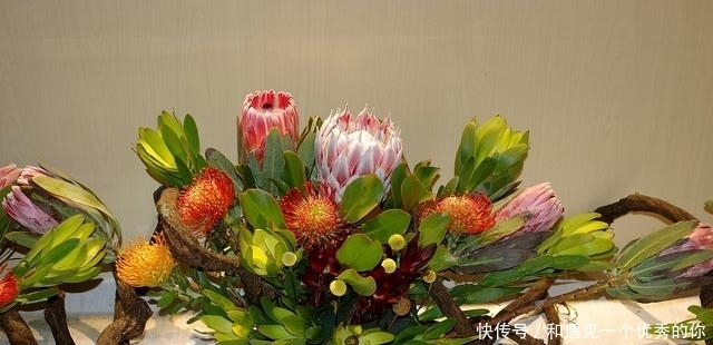 尊严|深情的人,一旦不爱了,就会变“狠”