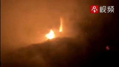  小狗|蒙城：这条小狗居然成了“纵火犯”