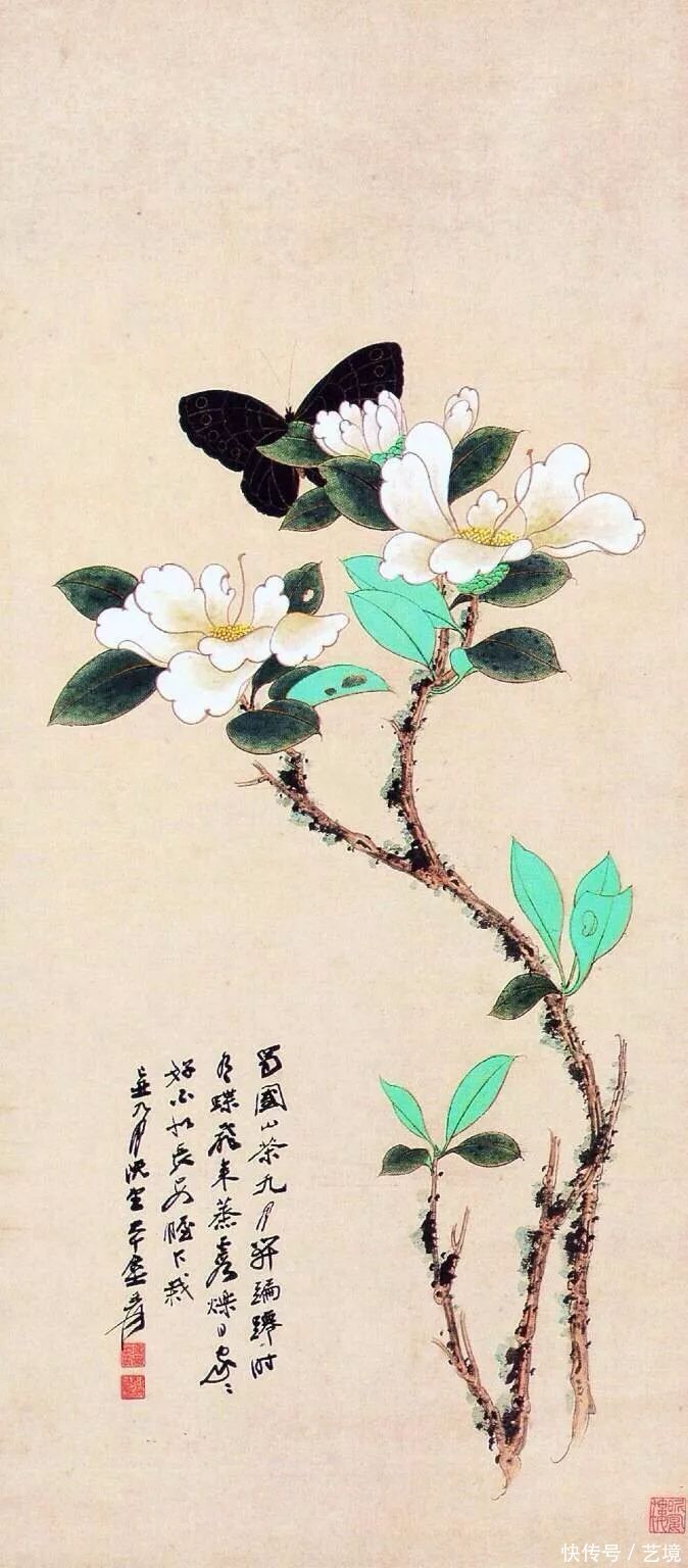 张大千花鸟画欣赏（100幅）