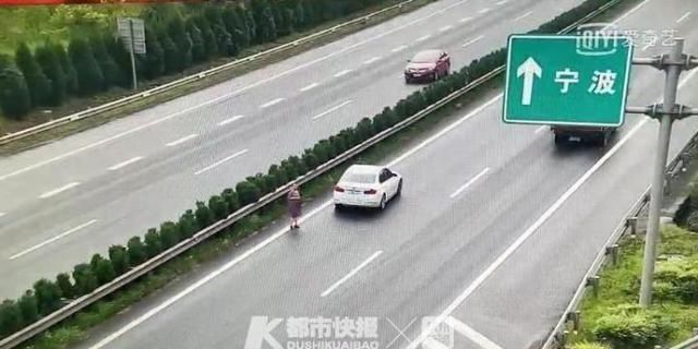  应女士|倒车、招手，错过出口的她在高速上竟这么选择