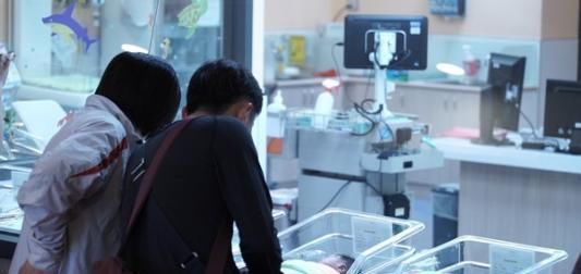  孩子就|儿子越长越帅，爸爸怀疑被“绿”，鉴定结果出来后全家乱套了