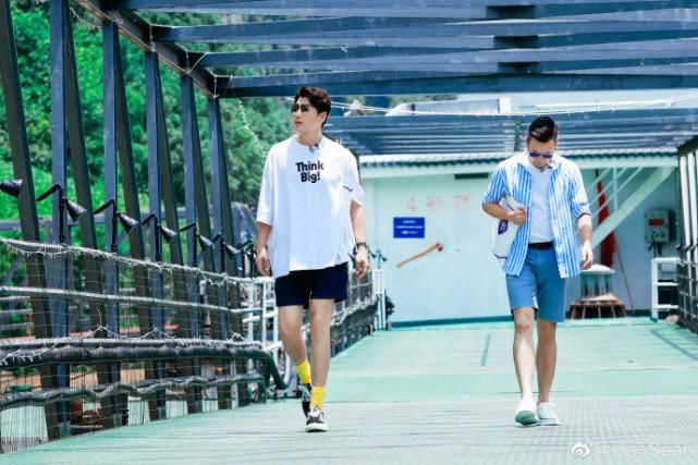  合适|复婚了？《中餐厅》张亮拒绝参与素人招亲，称自己“肯定不合适”