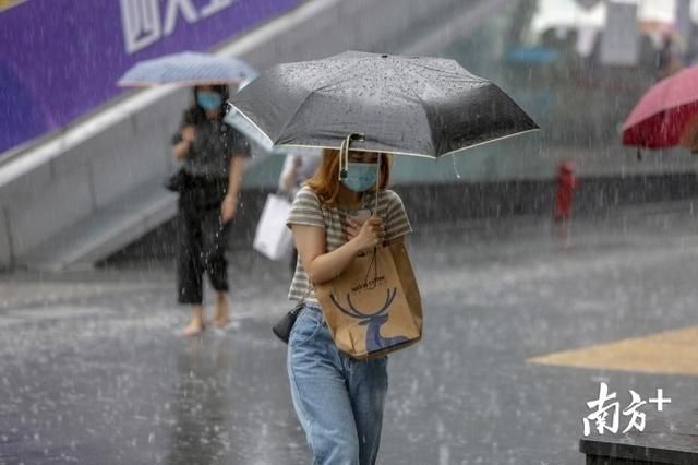 深圳市|图集丨深圳暴雨雷电双预警，开启“疯狂倒水”模式