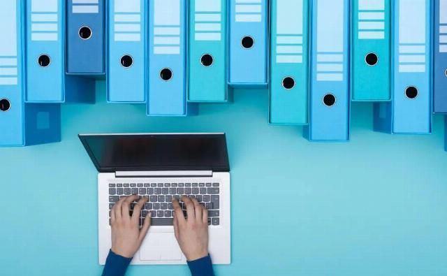  未来|许小年：未来的企业像什么？树、细胞组织，或者……