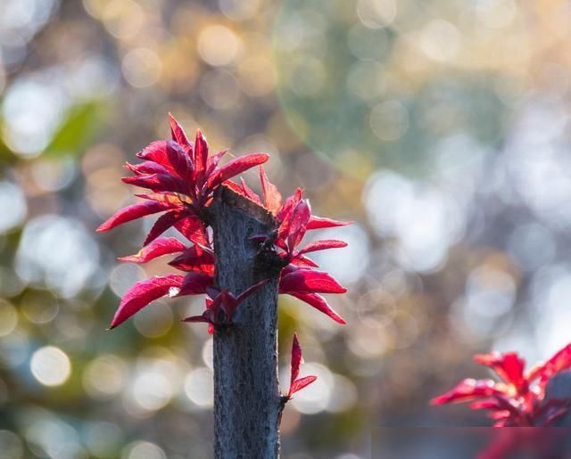  告诉|如果时间可以买卖，你愿意卖掉你的时间吗？吴谨言告诉你答案