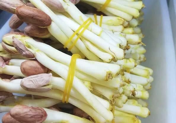  堵塞|7月必吃这道菜，血管畅通不堵塞，小腹平坦了，脸上痘痘不见了