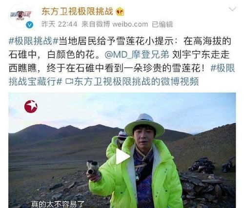  观众|刘宇宁之后，《极限挑战》节目组正式道歉，但还能挽回观众吗？