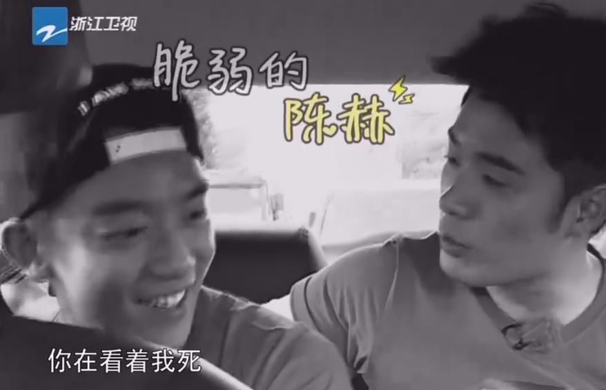  郑恺|郑恺陈赫杜江是同班同学，他们神一样的班级还有哪些大咖？