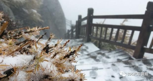  山里|秦岭山里下雪了！