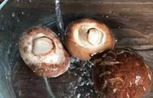 方式|青椒炒香菇,另一种方式,食物更香,更美味,更有营养,下一餐在桌上