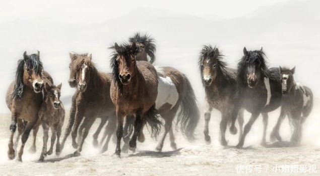 如今|徐悲鸿看中一幅画,花20个四合院的钱直接买下,如今画估值50亿