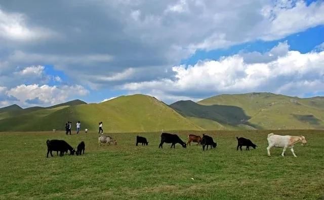  导价的A级|请收下，这是一份很长很全很美的暑期游云南攻略