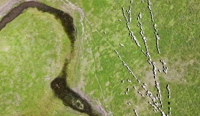 自驾游|一份颠覆你对内蒙传统印象的自驾游攻略,原来内蒙的美远不止草原