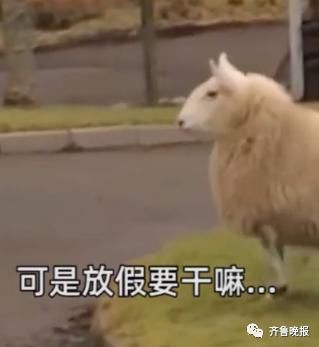 钱包|集体吐槽:假期被饭局安排了!你的钱包还好么?