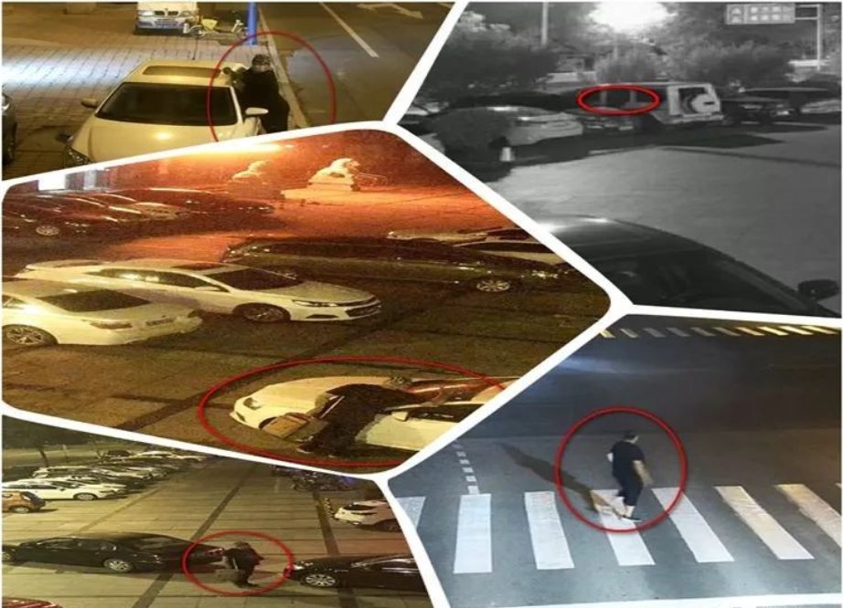 紫荆山派出|大快人心，那个砸车玻璃盗窃贼抓住了！