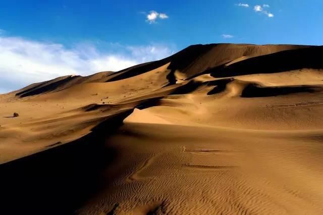  八道桥|为什么10月不能错过额济纳？详细攻略！不要错过这个秋天...